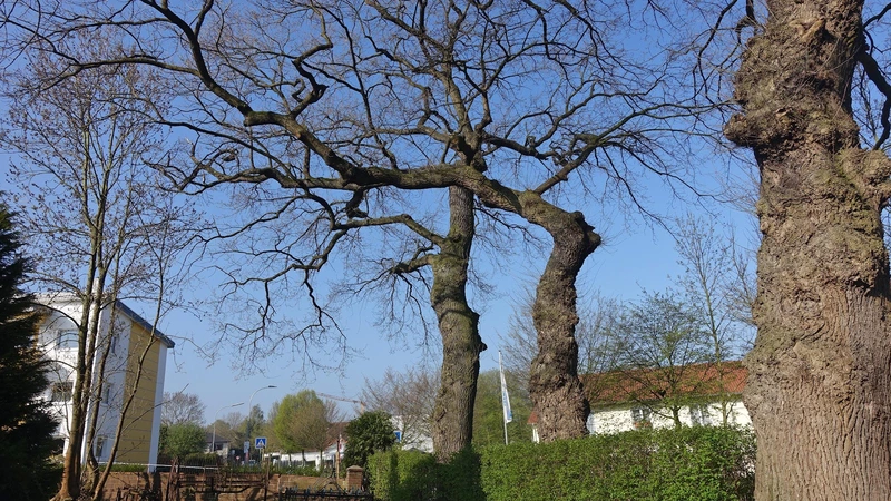 Stift Eidingsen – Bild 4