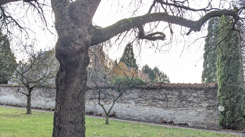 Pauline von Mallinckrodt Paderborn Pflege + Wohnen – Bild 3