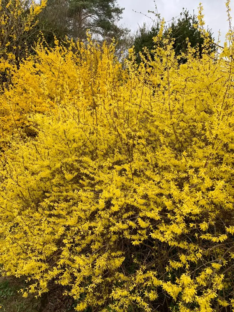 Ambulanter Pflegedienst Oase Neeb / Bratskich – Bild 2