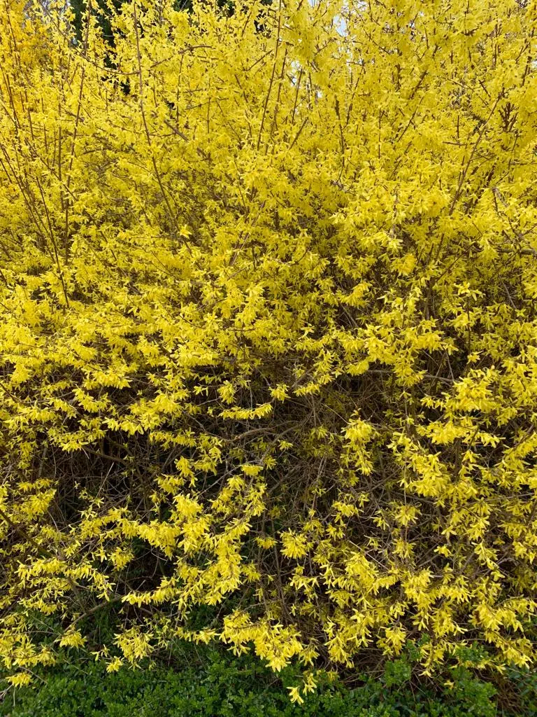 Ambulanter Pflegedienst Oase Neeb / Bratskich – Bild 3