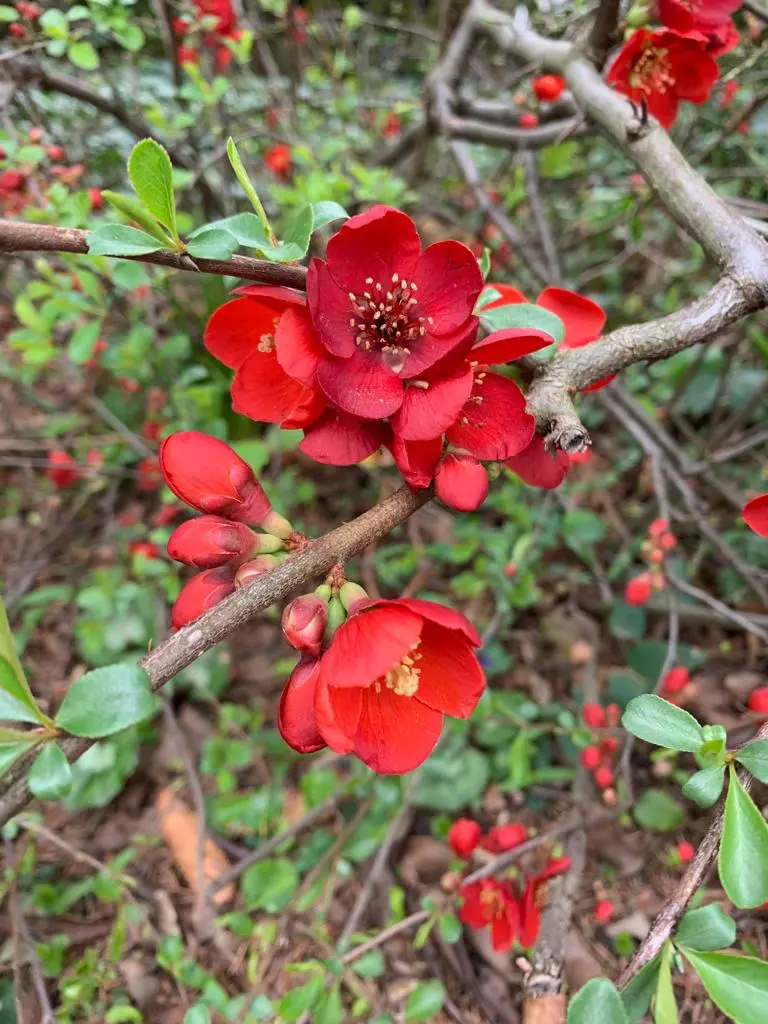 Ambulanter Pflegedienst Oase Neeb / Bratskich – Bild 4