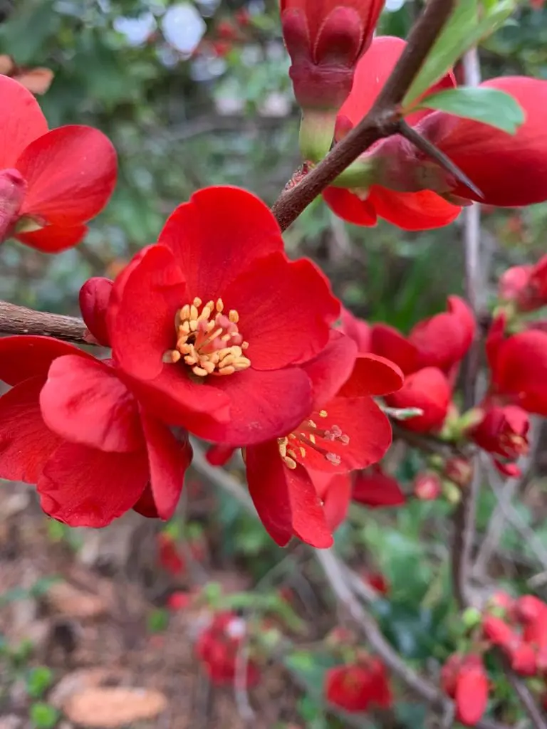 Ambulanter Pflegedienst Oase Neeb / Bratskich – Bild 5