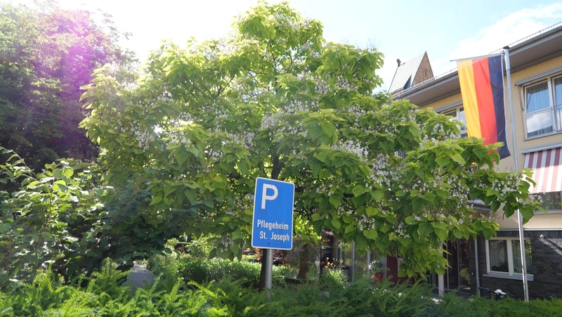 St. Joseph Pflege + Wohnen – Bild 4