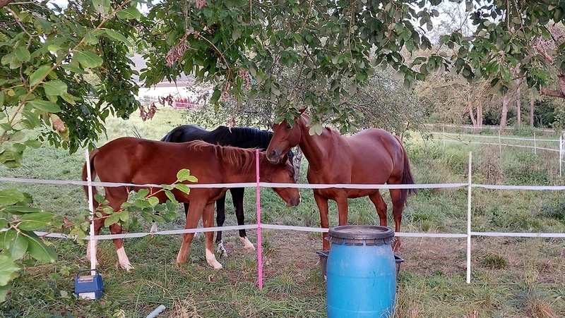 Ambulanter Pflegedienst Strempel – Bild 1