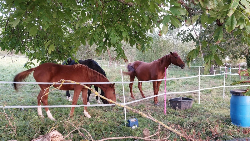 Ambulanter Pflegedienst Strempel – Bild 3