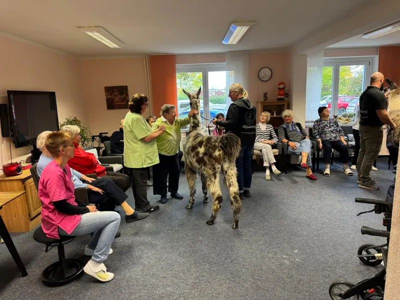 Pflegedienst Maria Kögler – Bild 3