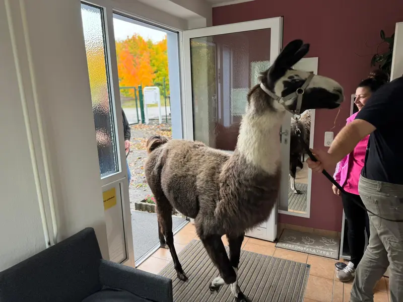 Pflegedienst Maria Kögler – Bild 5