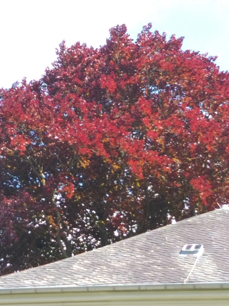 LWL-Pflegezentrum Marsberg "Haus Stadtberge" – Bild 4