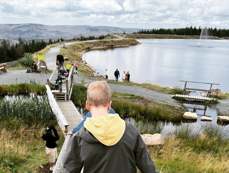 Pflege- und Betreuungszentrum Kaiserhof Phase F geschlossen – Bild 5