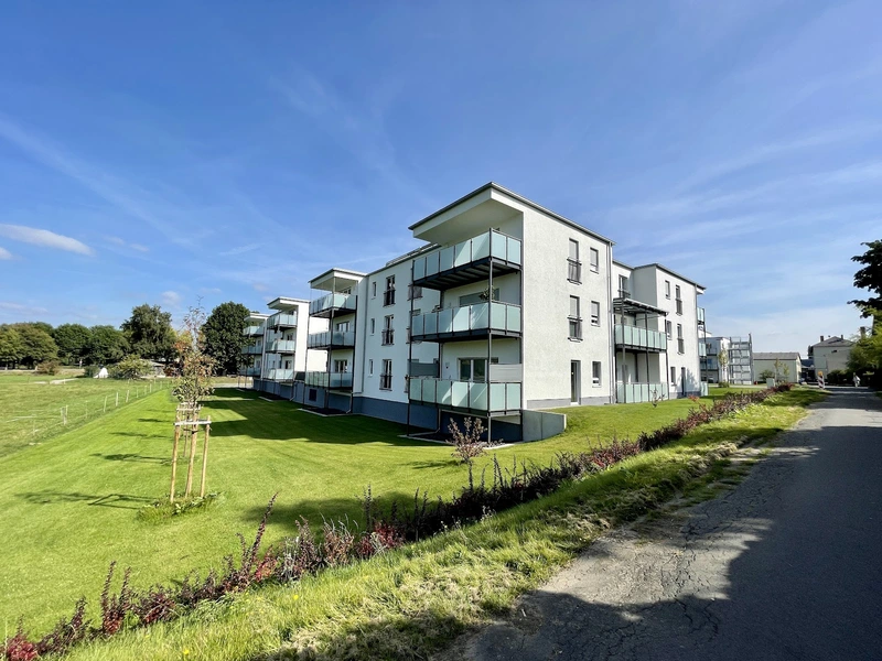 Pflegepartner Hungen aktiv! – Bild 3