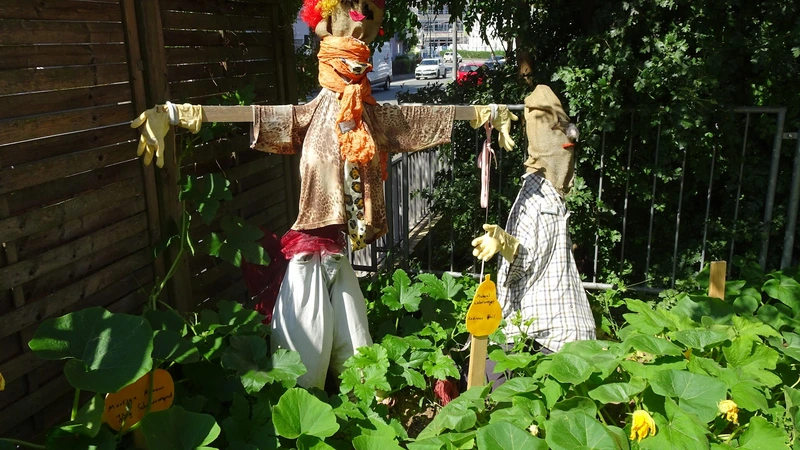 Senioren-Residenz "Gießen" (Phase F) – Bild 2