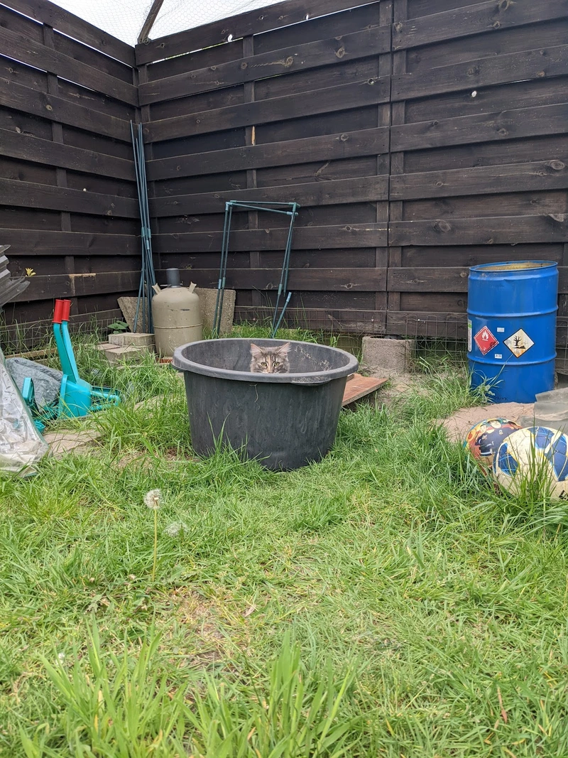 Miteinander-Füreinander Oberes Fuldatal e.V. – Bild 1