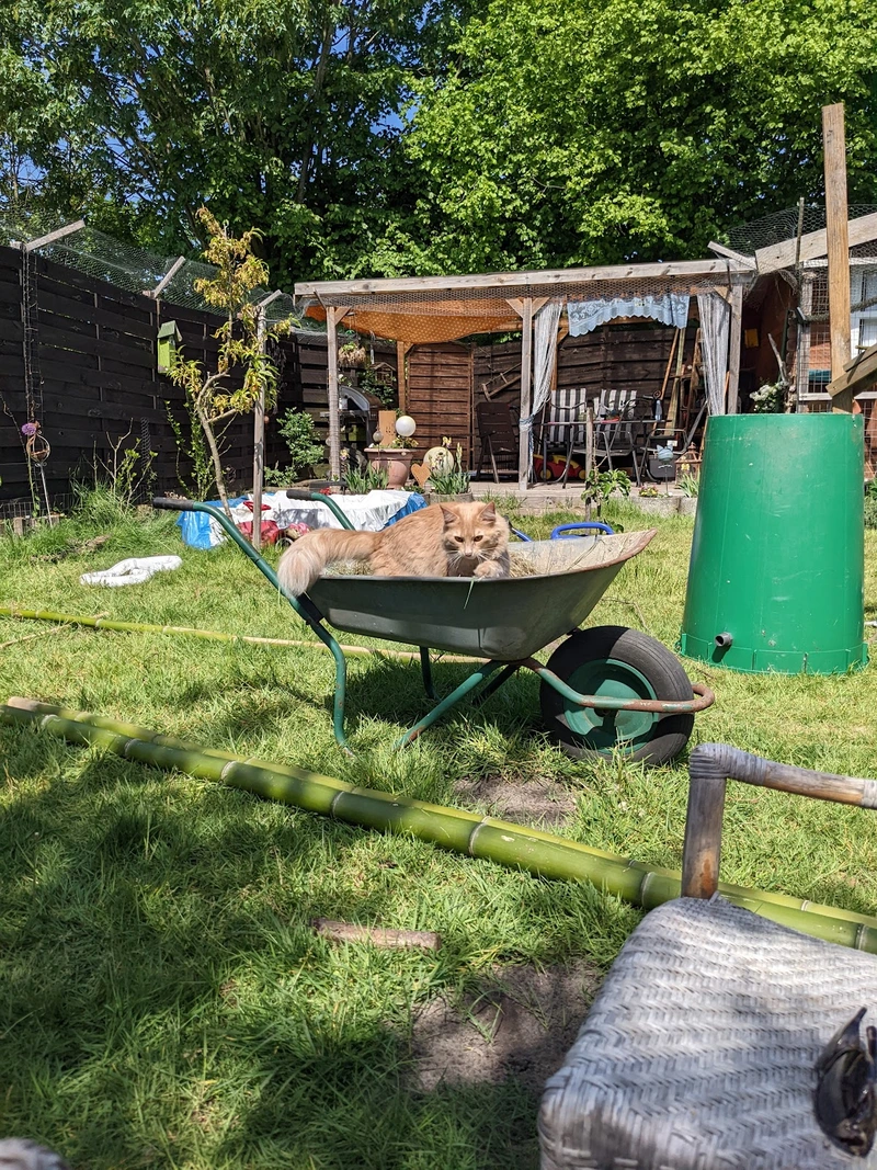 Miteinander-Füreinander Oberes Fuldatal e.V. – Bild 2