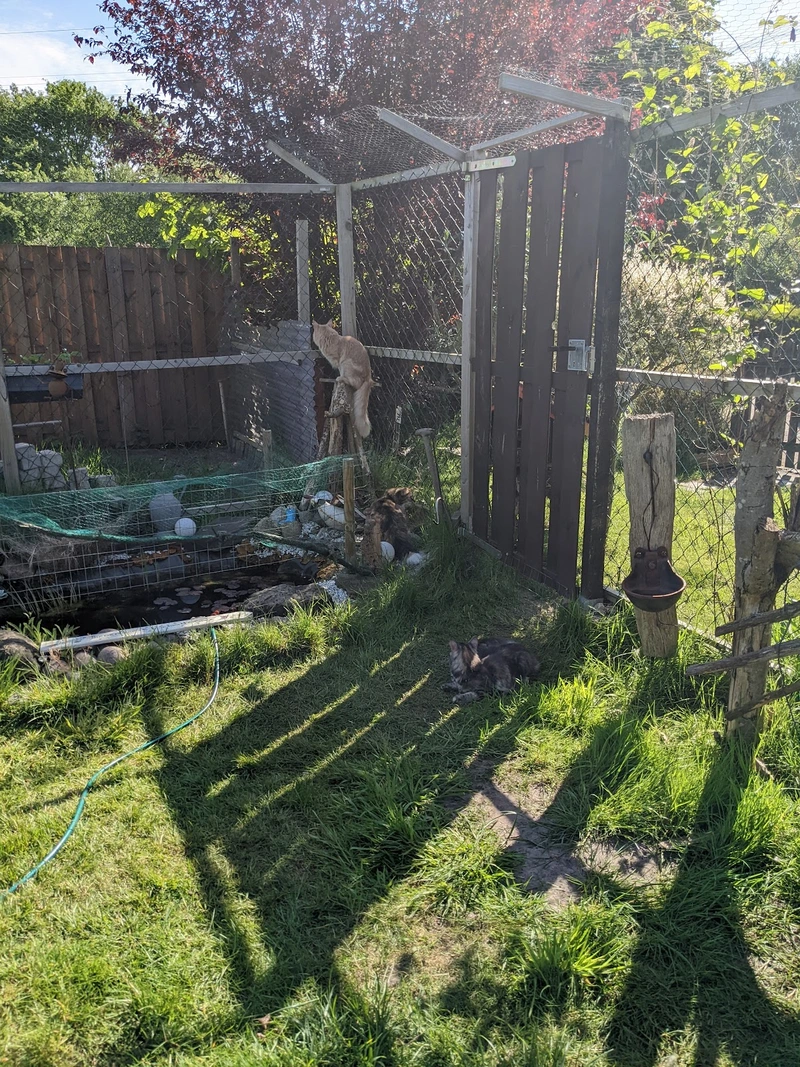 Miteinander-Füreinander Oberes Fuldatal e.V. – Bild 3