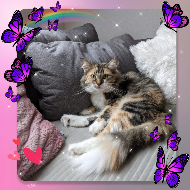 Miteinander-Füreinander Oberes Fuldatal e.V. – Bild 4