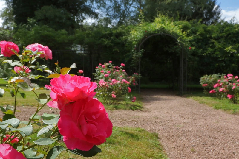 Seniorenpark Alten- und Pflegeheim "Schloß Bairoda" – Bild 4