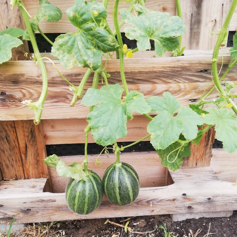 HUMANAS Pflege Wohnpark Heyrothsberge – Bild 4