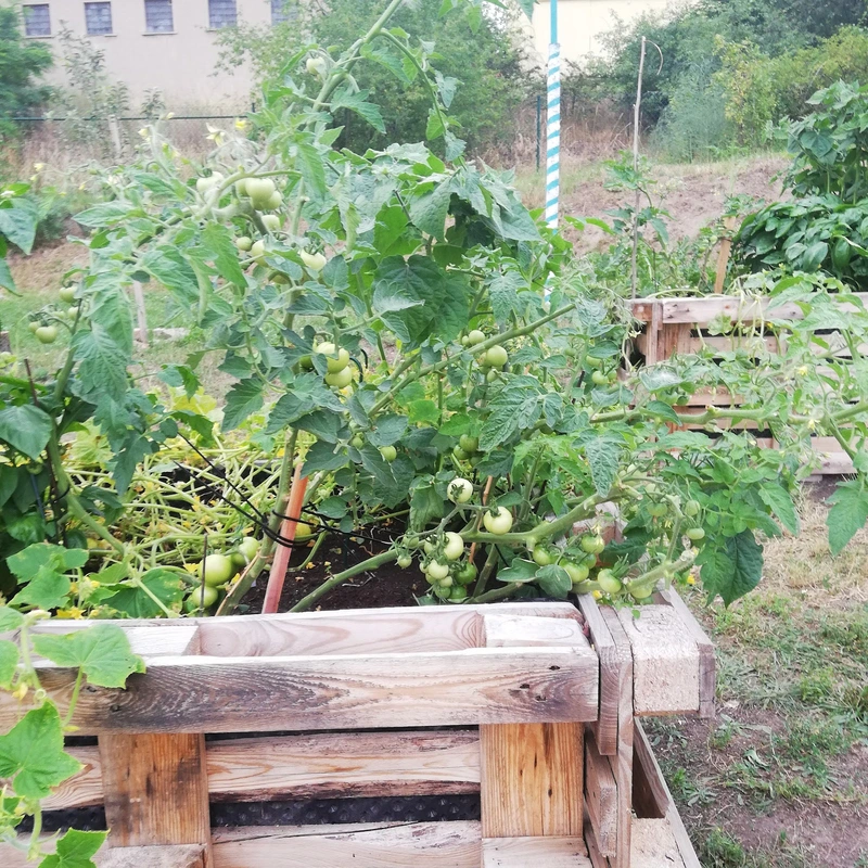 HUMANAS Pflege Wohnpark Heyrothsberge – Bild 5