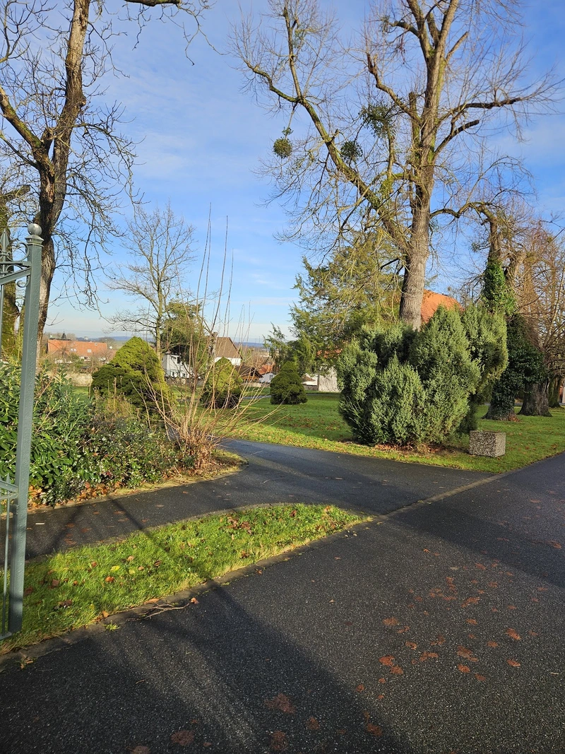 Kur- und Pflegeheim Schloß Friedland GmbH - Pflegeheim – Bild 2