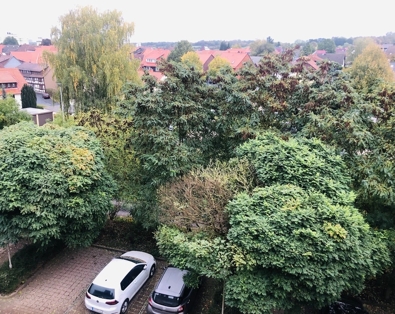 Seniorenwohnanlage Dransfeld GmbH "Im Alten Dorf" – Bild 3