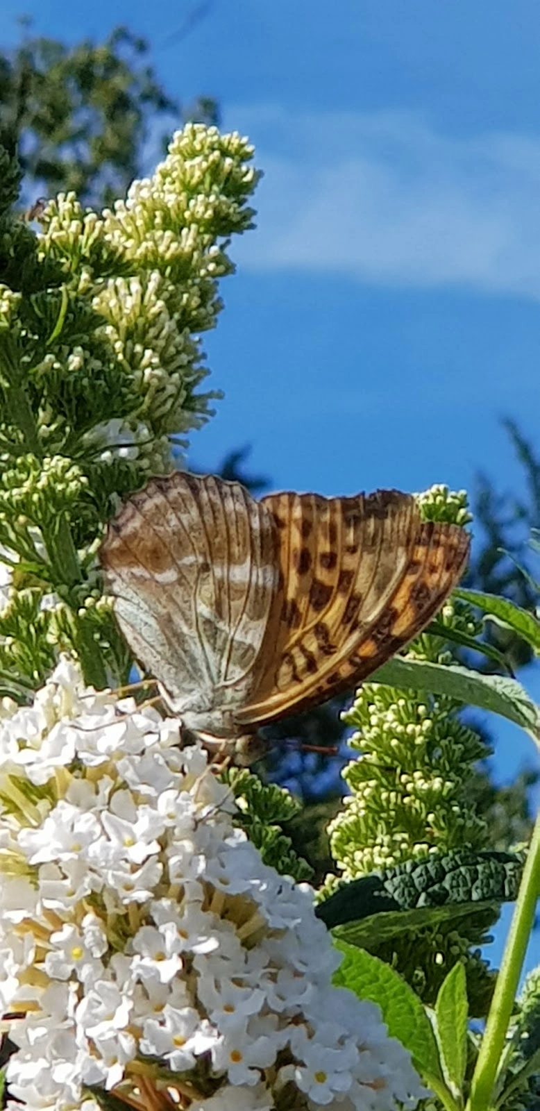 Haus Abendfrieden – Bild 4