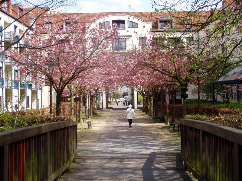 DOREAFAMILIE Braunschweig – Bild 2