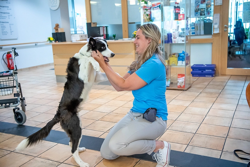 Haus Wilhelmsgarten Braunschweig – Bild 3