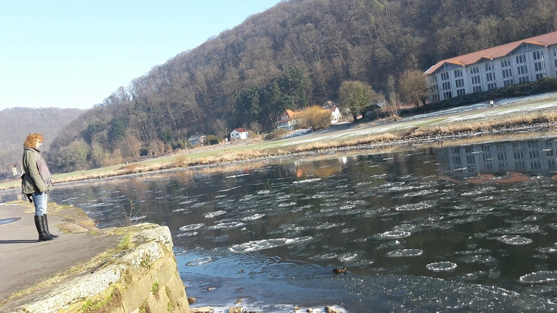 ProSENIS GmbH, Seniorendomizil "Haus Weseraue" – Bild 2