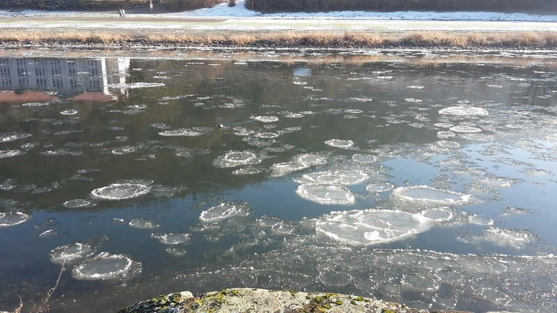 ProSENIS GmbH, Seniorendomizil "Haus Weseraue" – Bild 3