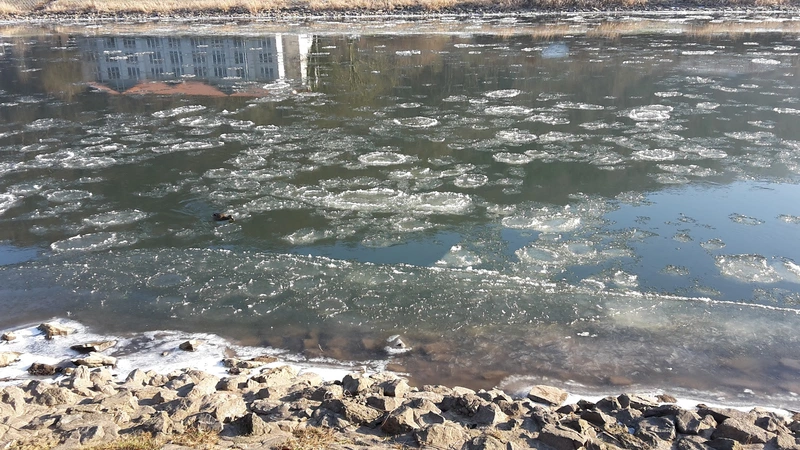 ProSENIS GmbH, Seniorendomizil "Haus Weseraue" – Bild 5