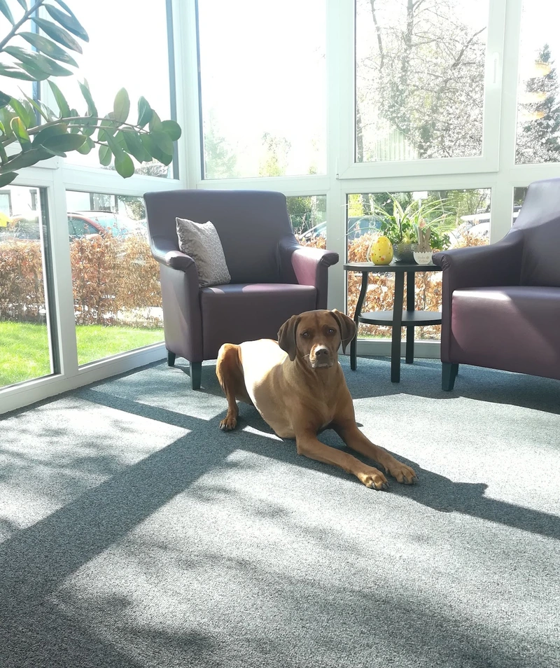 BBG Senioren-Residenzen – Bild 4