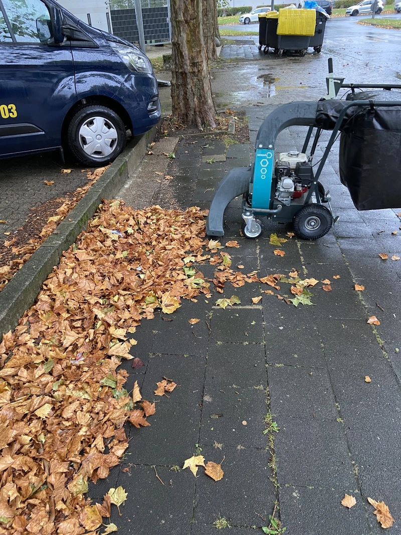 Glas- und Gebäudereinigung Scholz – Bild 5