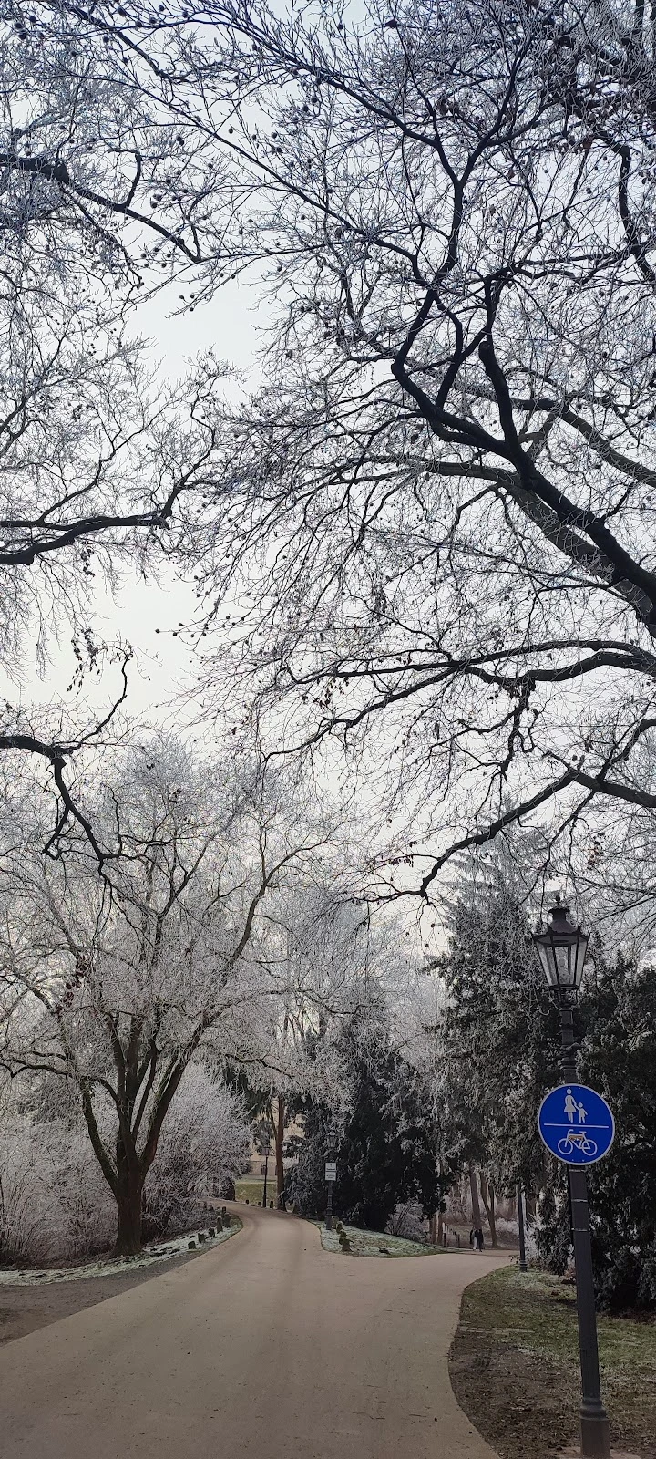 Diakonisches Wohn- und Pflegezentrum Amalie Sieveking gGmbH – Bild 2