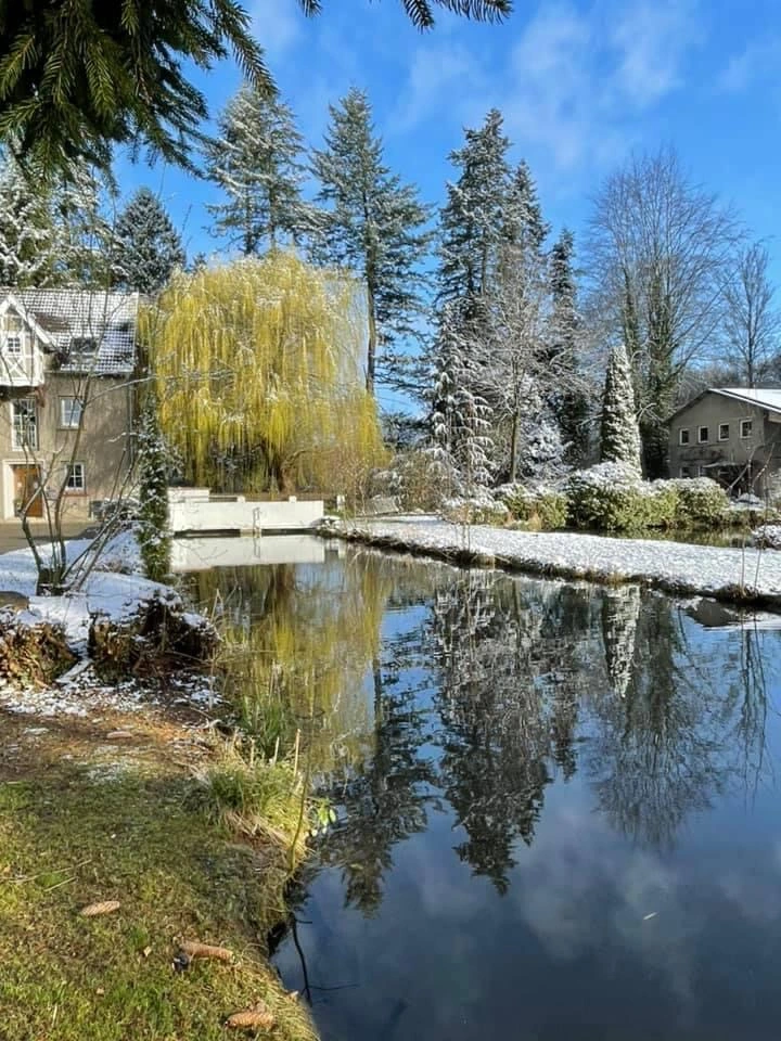 ambulante Pflege von hier – Bild 2