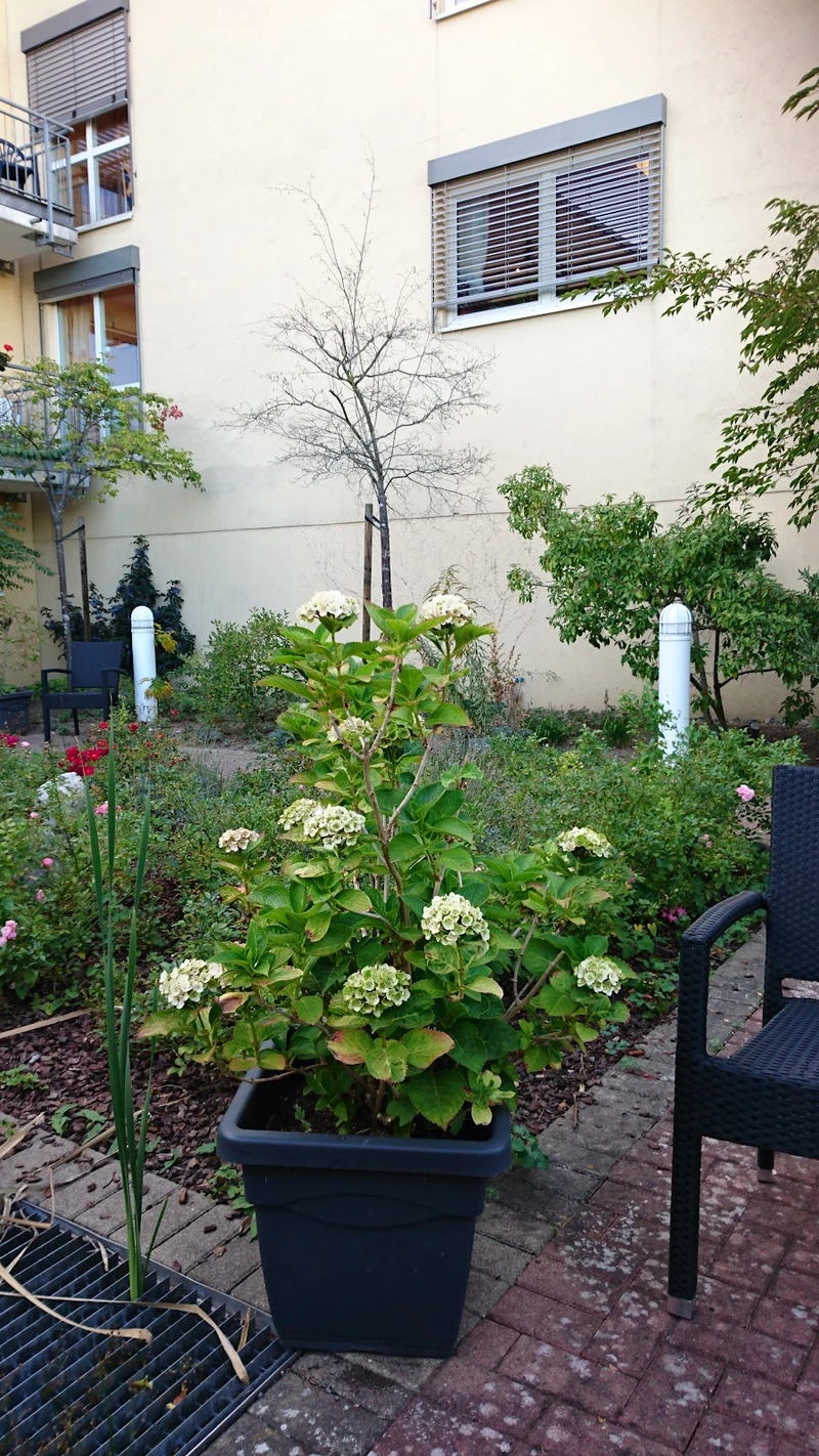 AWO Wohn- und Pflegeheim Am Eikel – Bild 5