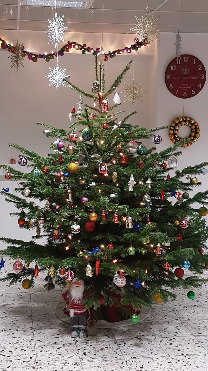 Germedika – Bild 3