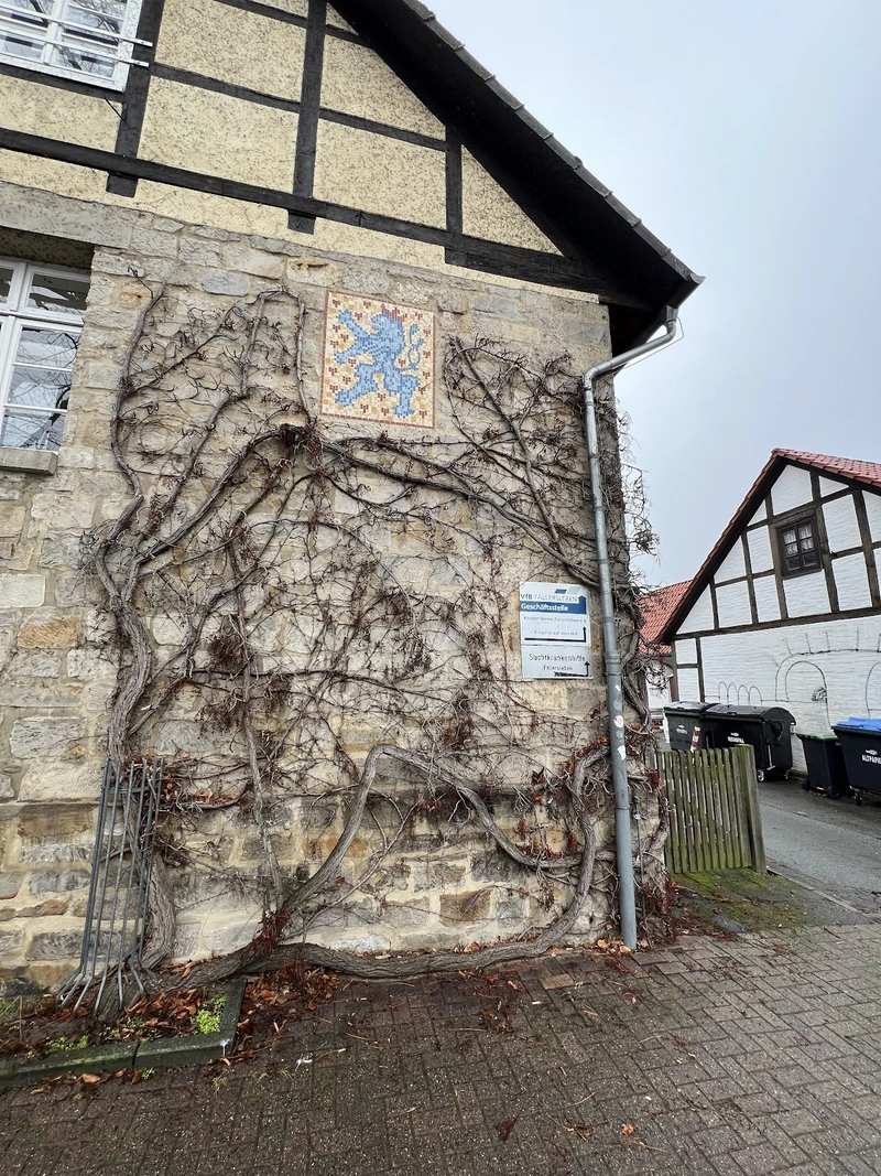 Sozialstation Wolfsburg West – Bild 4