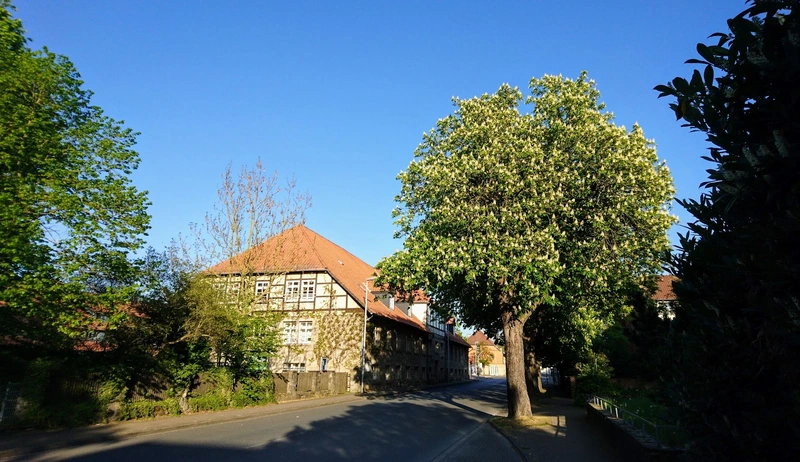 DRK-Sozialstation West – Bild 5