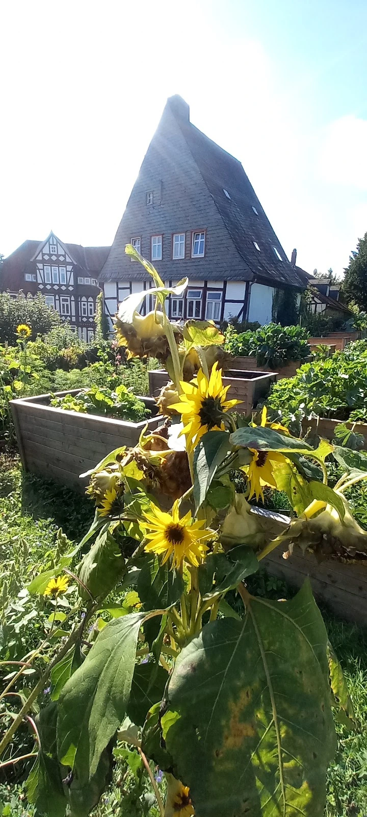 Kloster Frankenberg Goslar - Altenstift der Christengemeinschaft – Bild 5