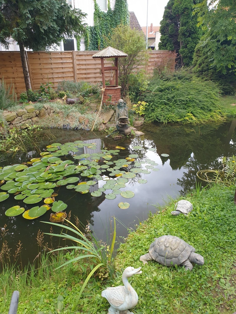 Haus am Harly GmbH – Bild 3