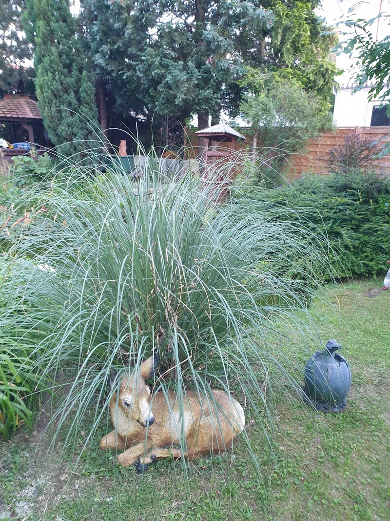 Haus am Harly GmbH – Bild 4