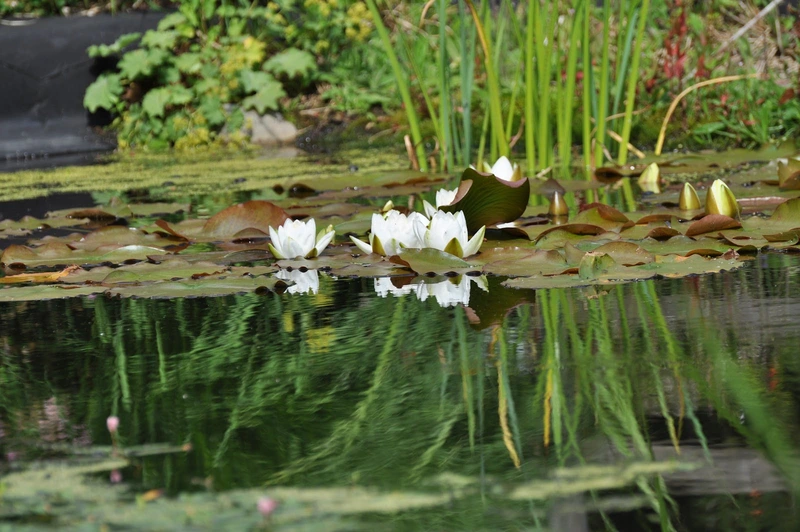 Seniorenresidenz Hahnenklee – Bild 4