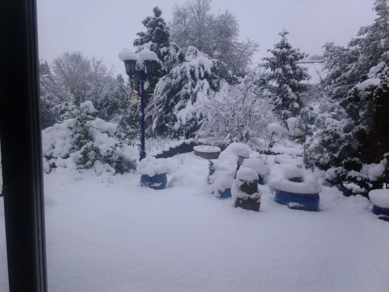 Theresienhof – Bild 5