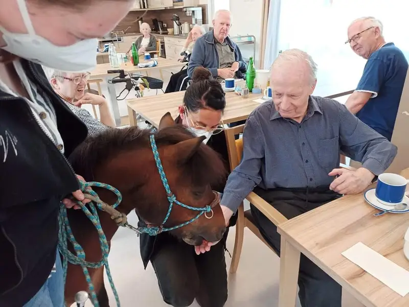 Alloheim Senioren-Residenz "Am Park" – Bild 4