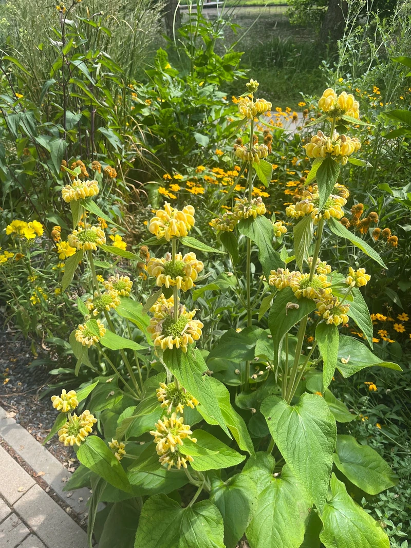 Seniorenbegleitung im Vorharz Carola Kirchhof – Bild 3
