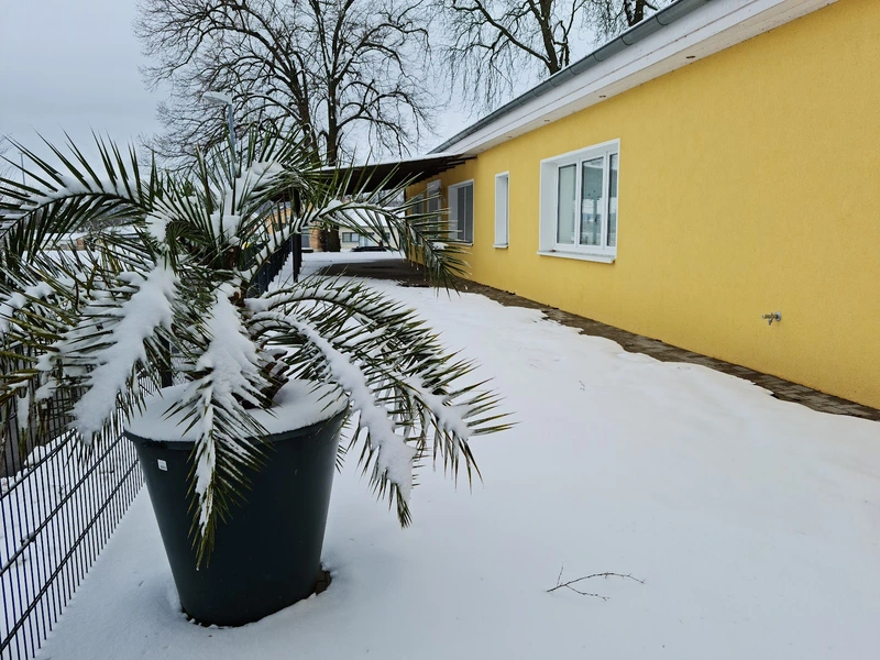 Seniorenhilfe Huy – Bild 4