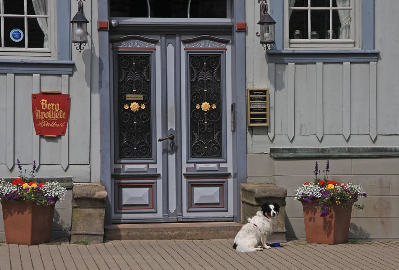 Landhaus am Schützenplatz – Bild 5