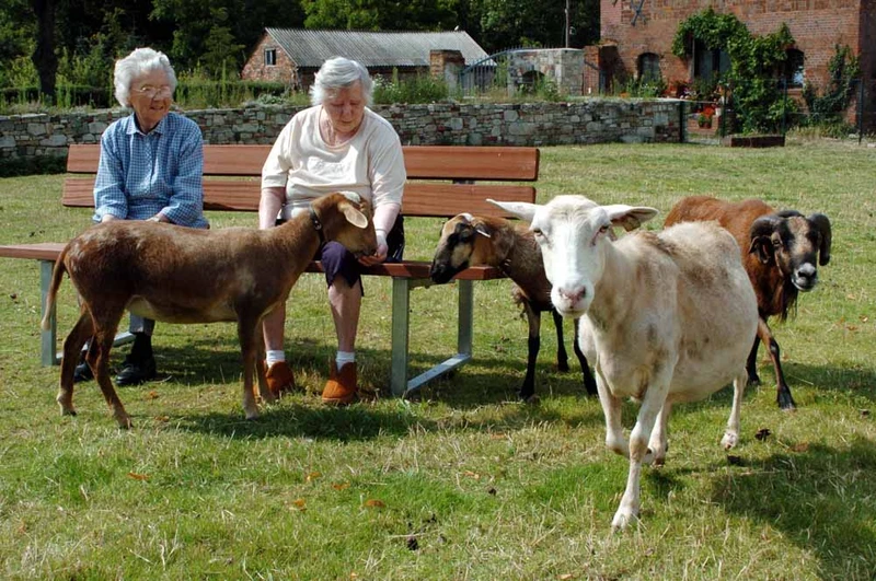 Senioren- und Pflegeheim – Bild 5