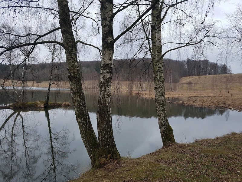 Alten- und Pflegeheim Stiege GmbH – Bild 5