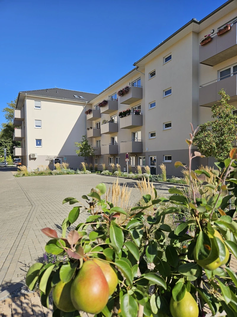 Betreuung einer nicht selbst organisierter ambulant betreuter Wohngemeinschaften – Bild 2